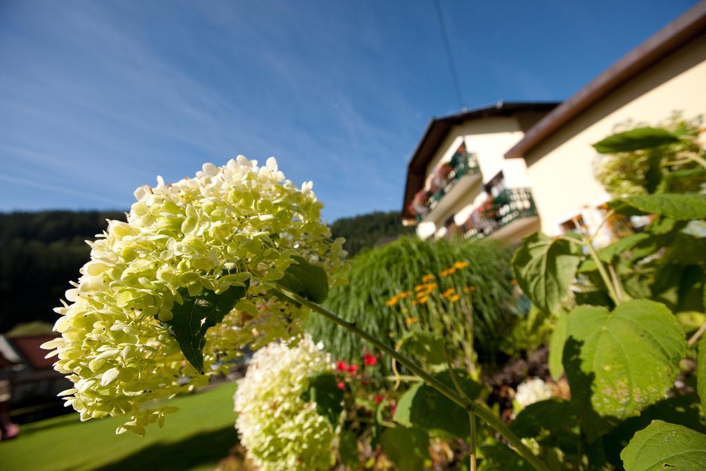 Hotel Moenichwalderhof Monichwald Exteriér fotografie